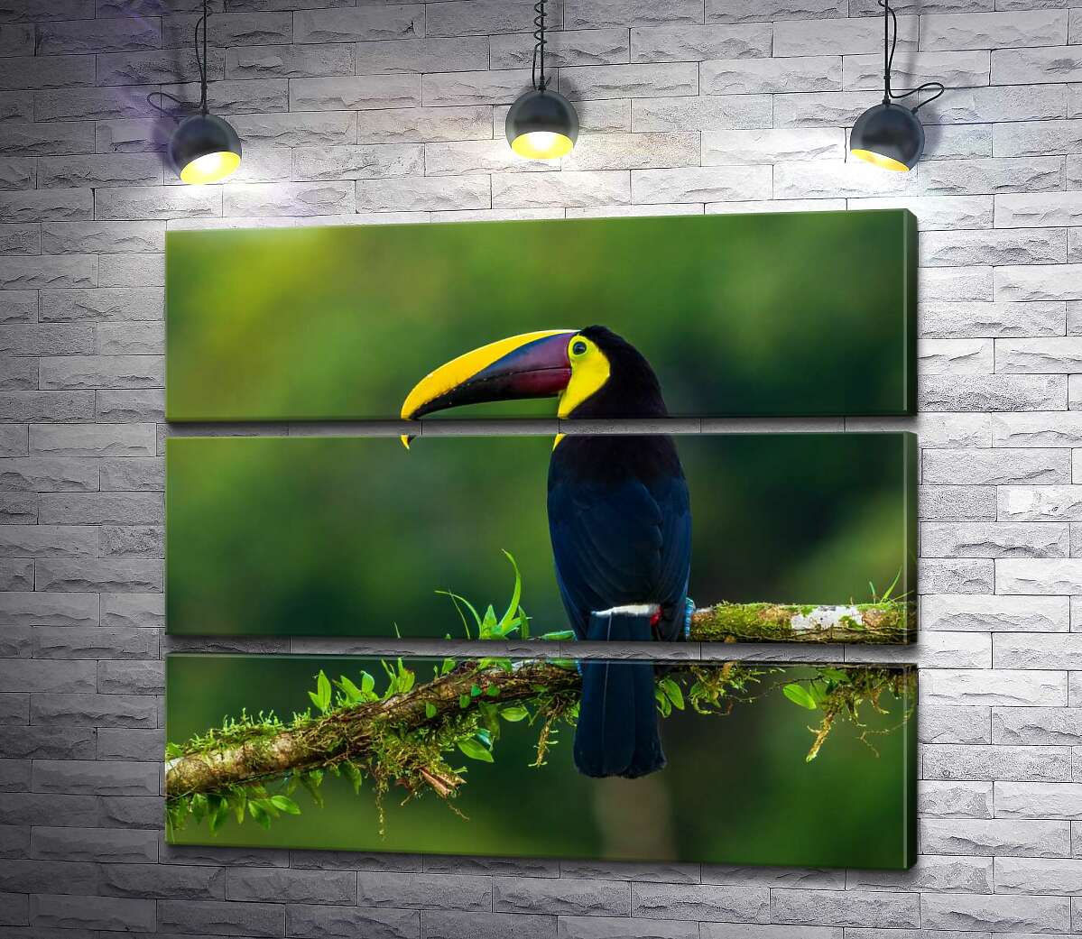 модульная картина Черный бархат спины тукана (Модуль №15)