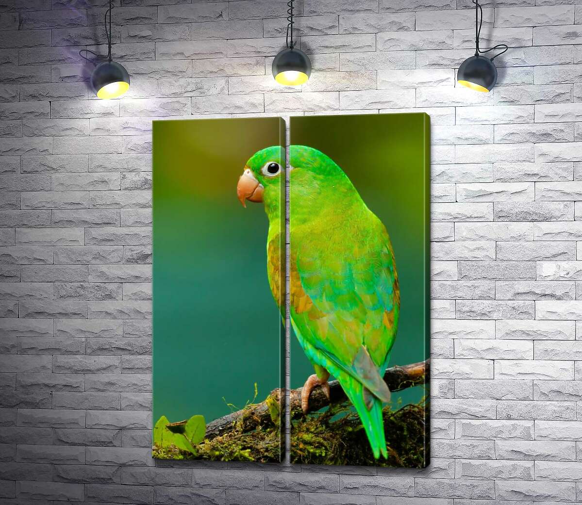 модульная картина Яркое зеленое оперение попугая тирики