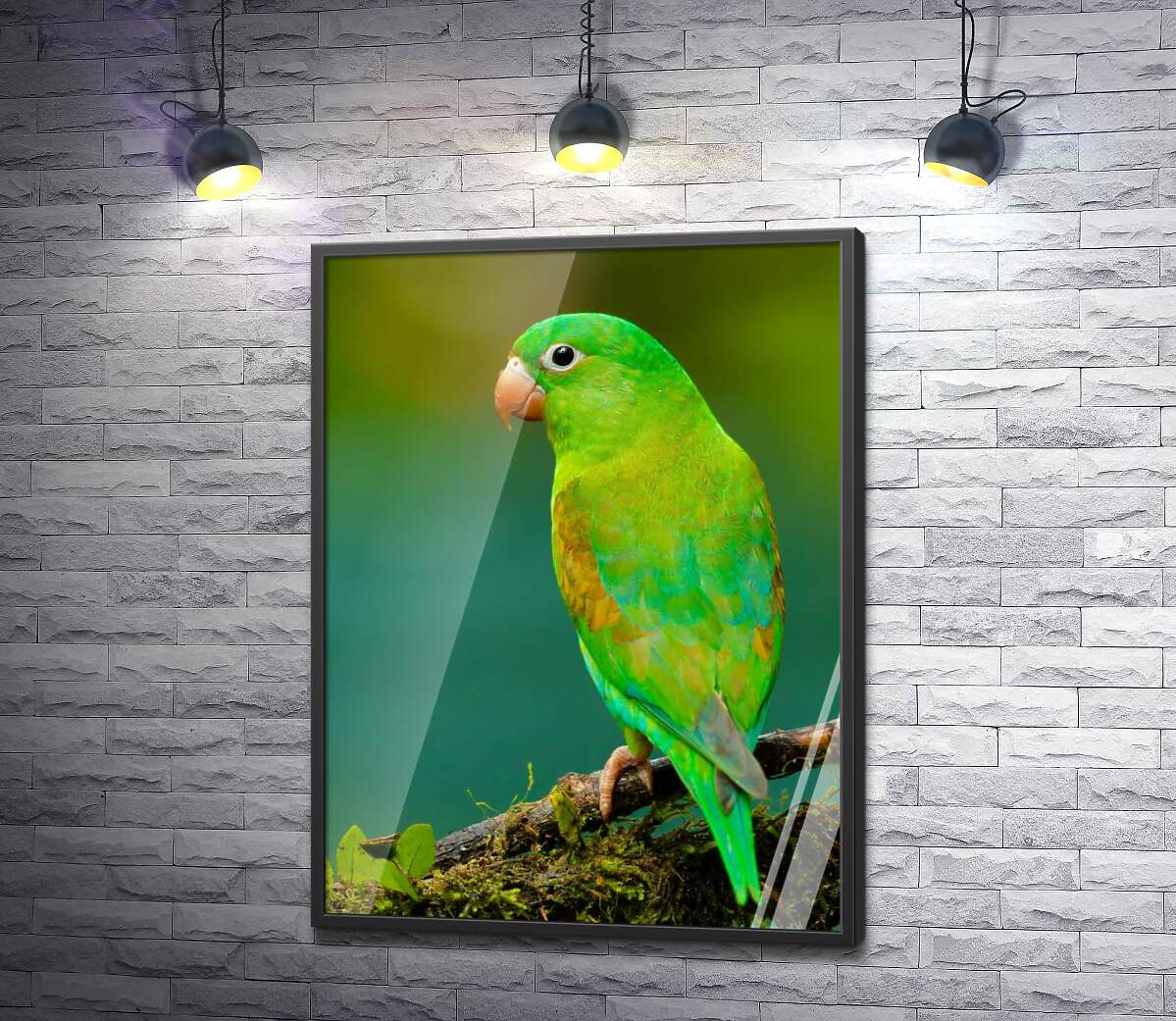 постер Яскраве зелене оперення папуги тіріки