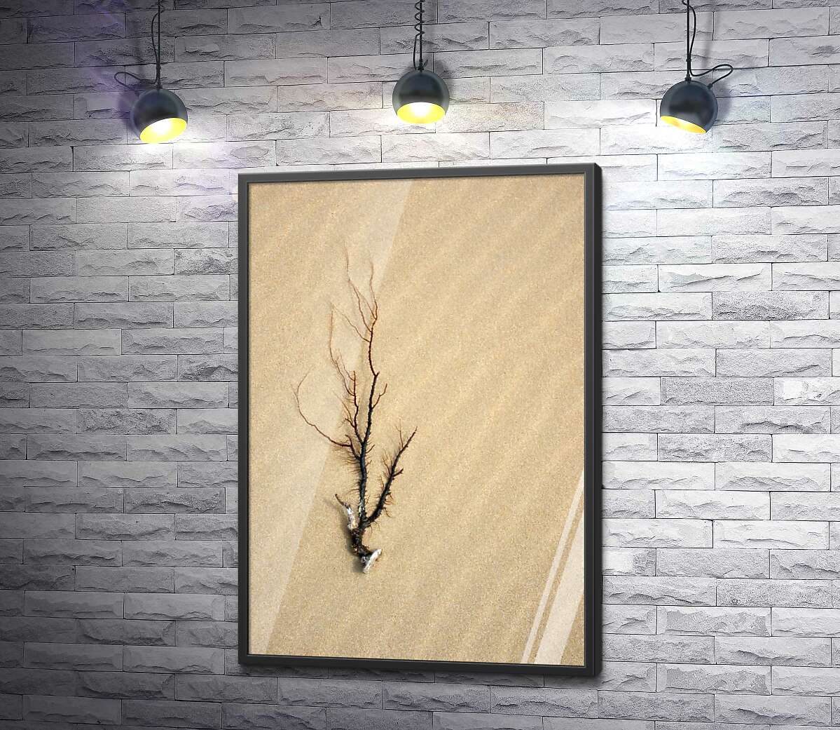 постер Коріння морської флори на піску