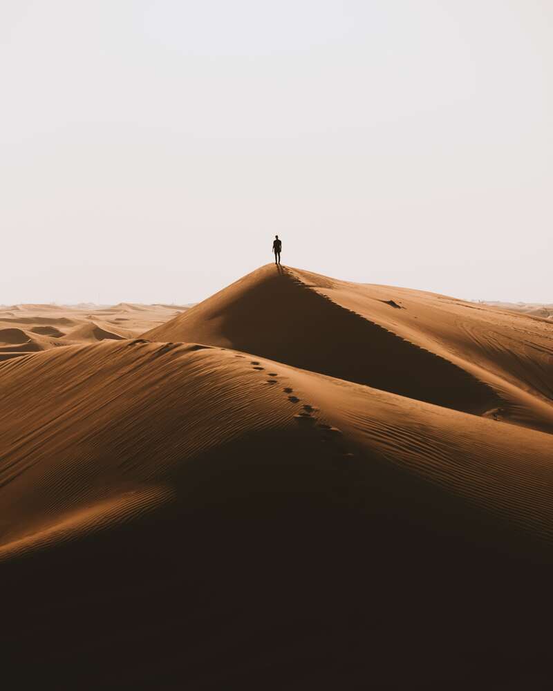 картина-постер Одинокий силуэт на холмах пустыни