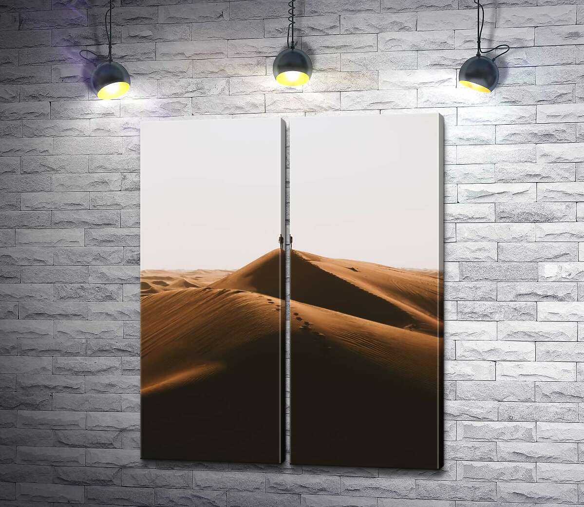 модульна картина Самотній силует на пагорбах пустелі