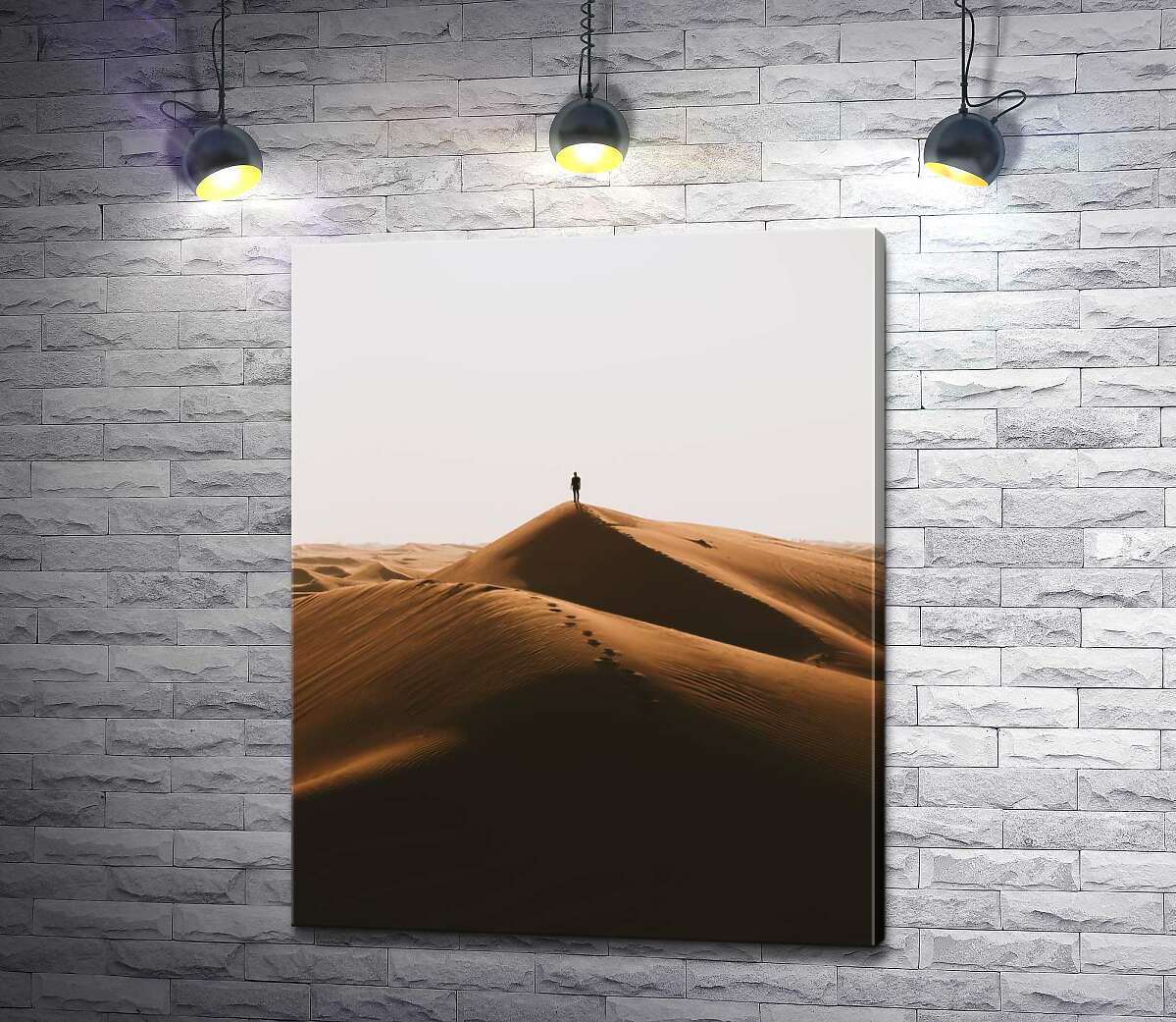 картина Одинокий силуэт на холмах пустыни