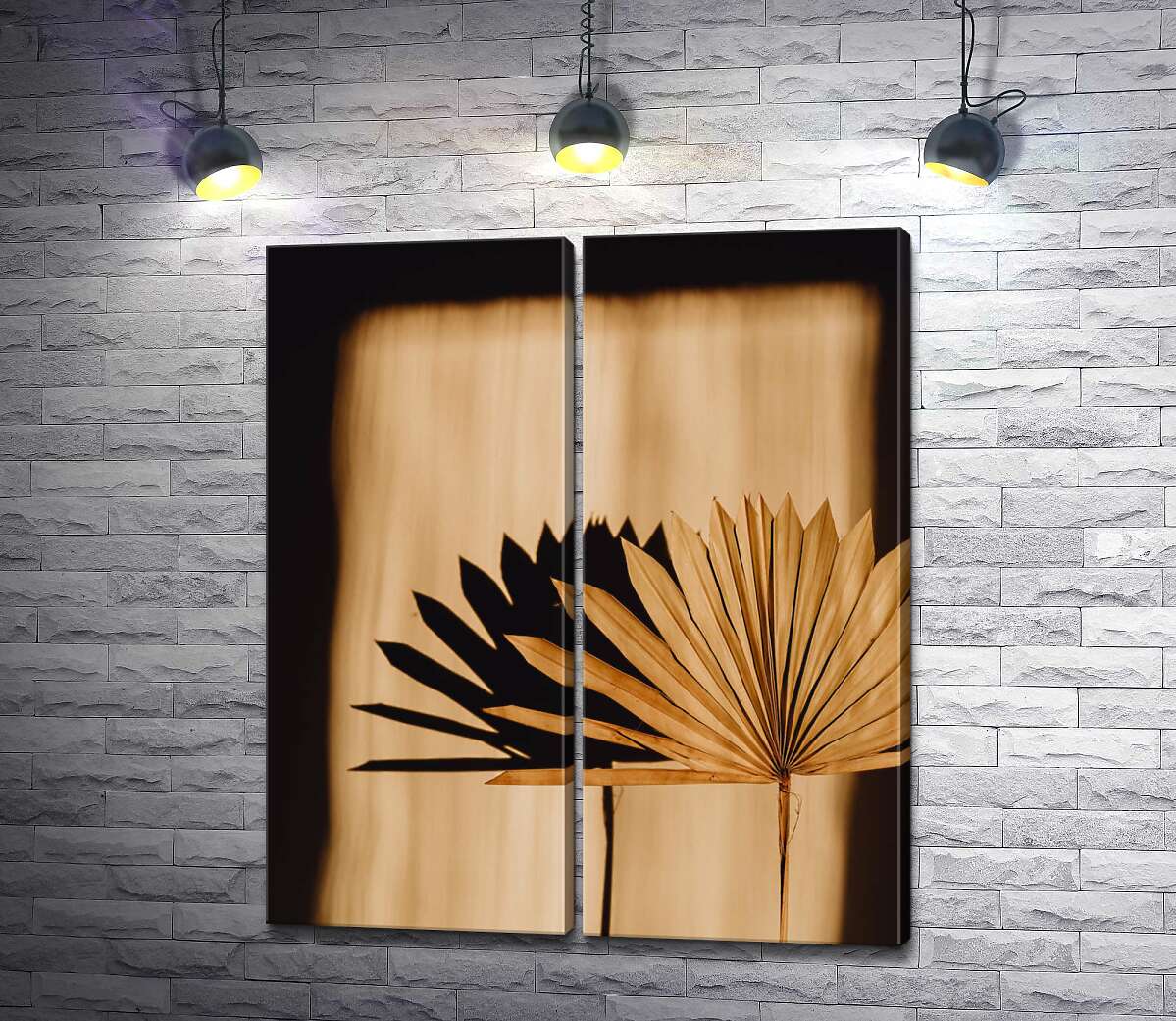 модульная картина Сухой пальмовый лист на свету