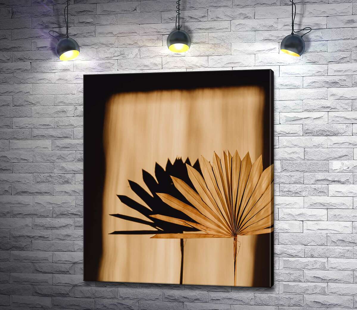картина Сухий пальмовий лист на світлі
