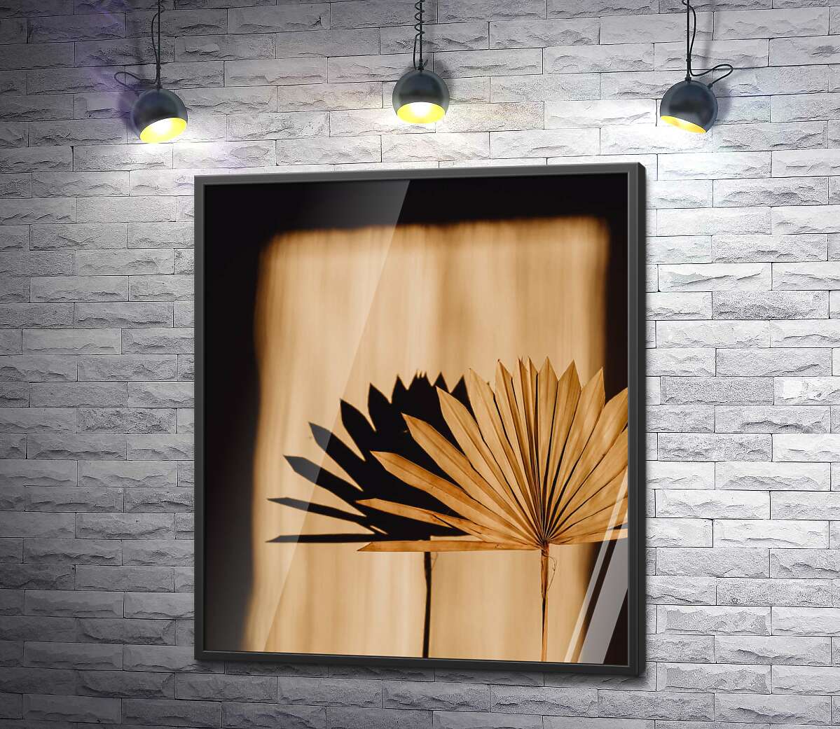 постер Сухий пальмовий лист на світлі