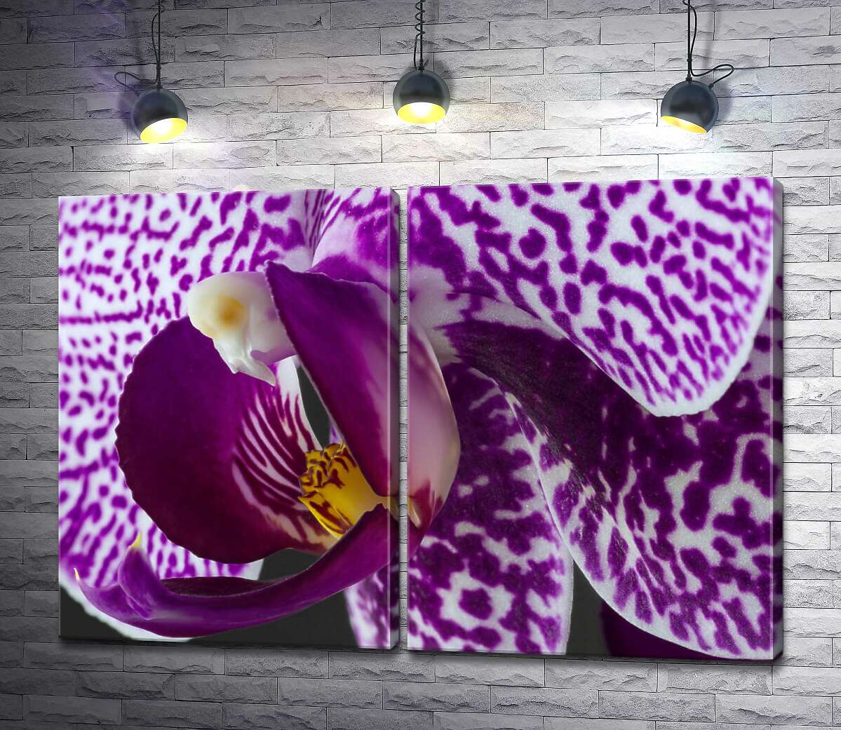 модульная картина Пятнистый окрас сиреневой орхидеи