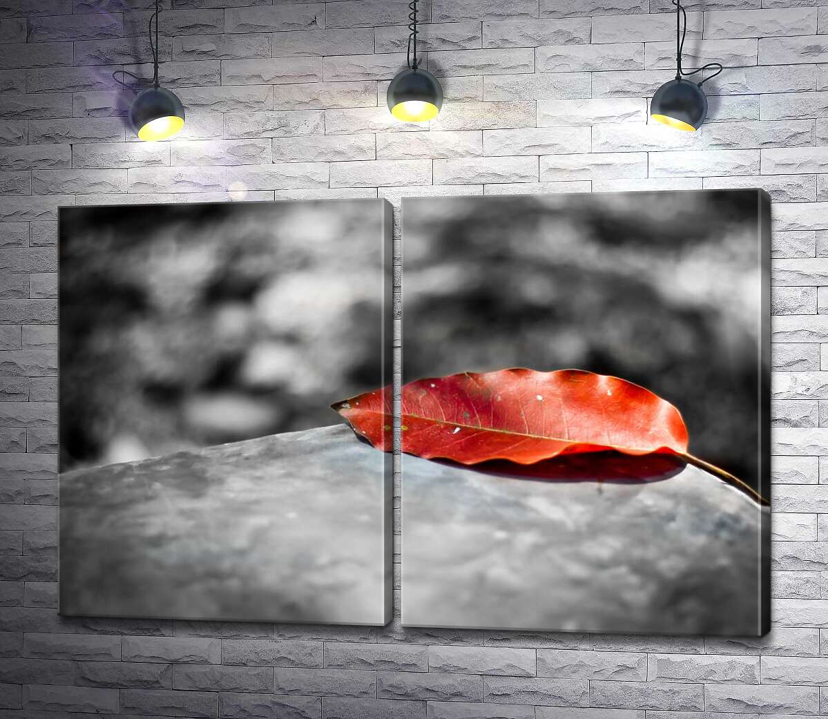 модульная картина Одинокий красный листок лежащий на камне