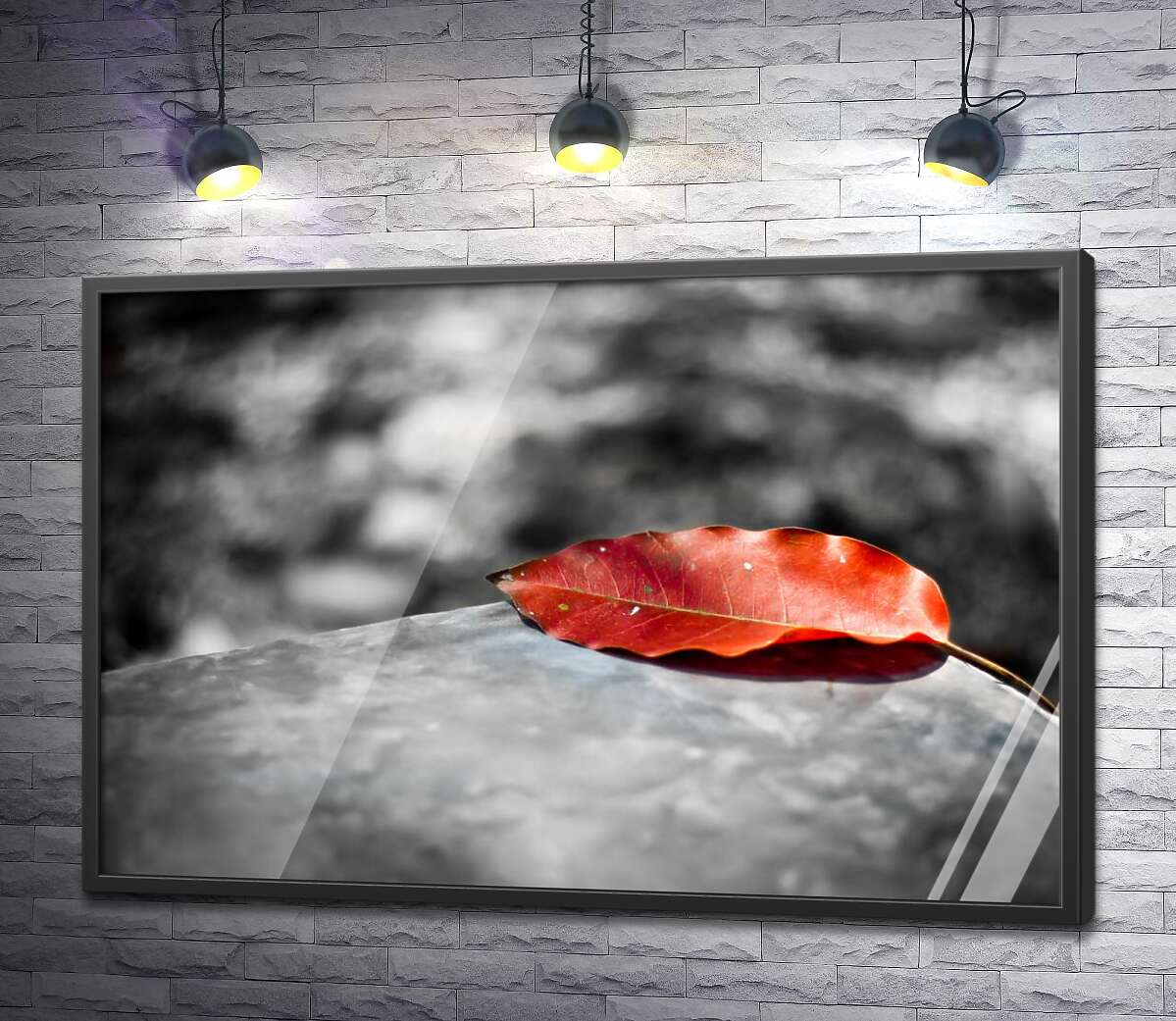 постер Одинокий красный листок лежащий на камне