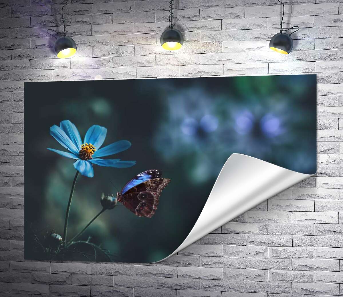друк Візерунковий метелик поруч із синьою польовою квіткою