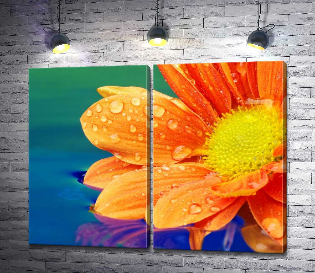 модульна картина Краплі води на оранжевій квітці гербери