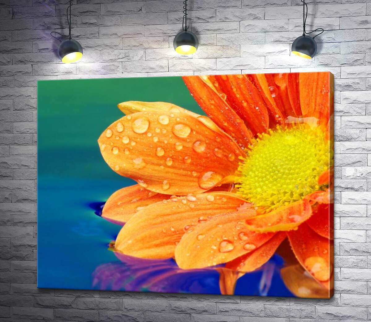 картина Капли воды на оранжевом цветке герберы