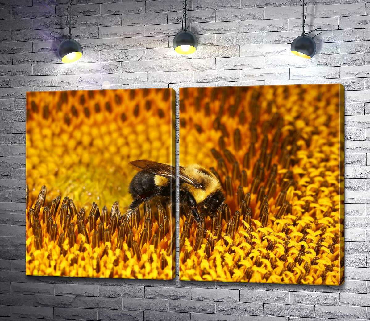 модульная картина Работящая пчела в центре подсолнуха
