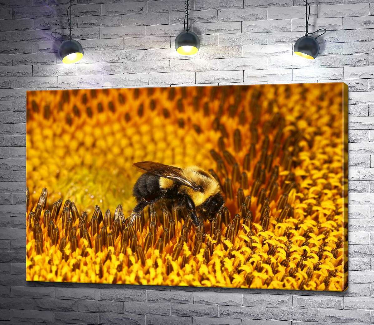 картина Бджола, що працює, в центрі соняшника
