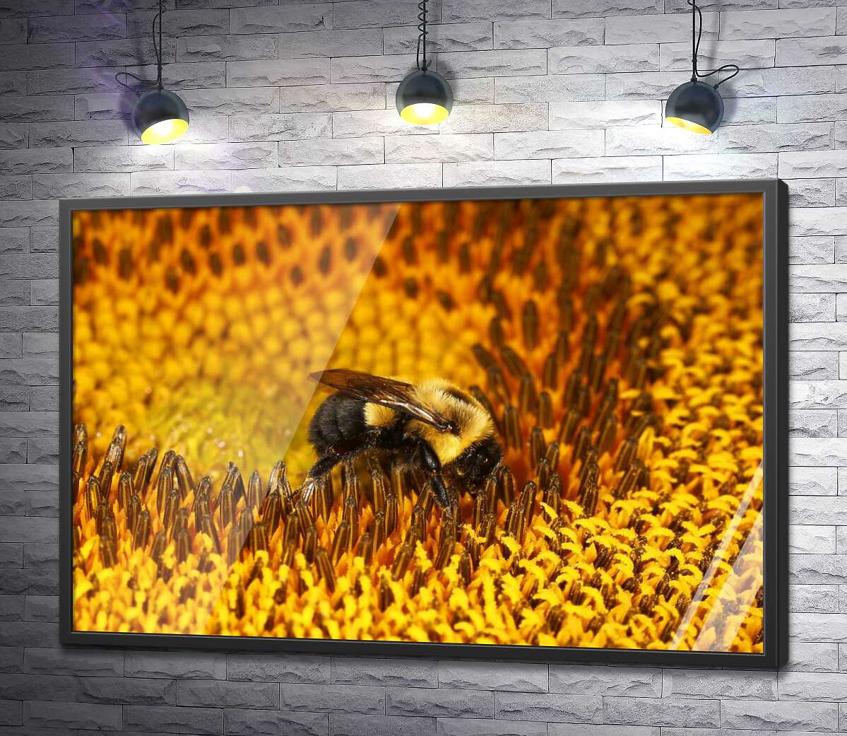 постер Работящая пчела в центре подсолнуха