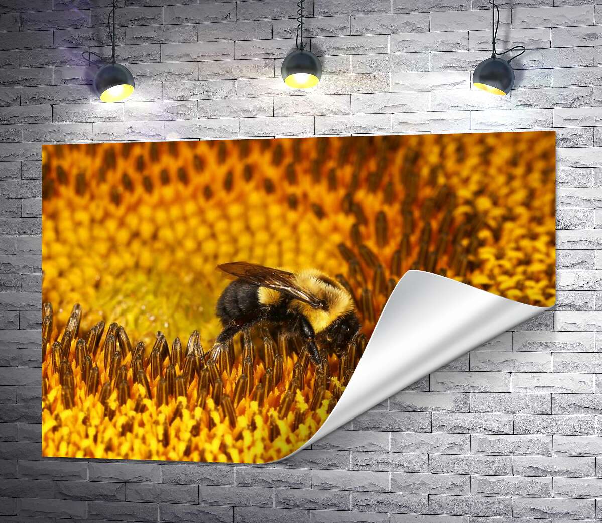 печать Работящая пчела в центре подсолнуха