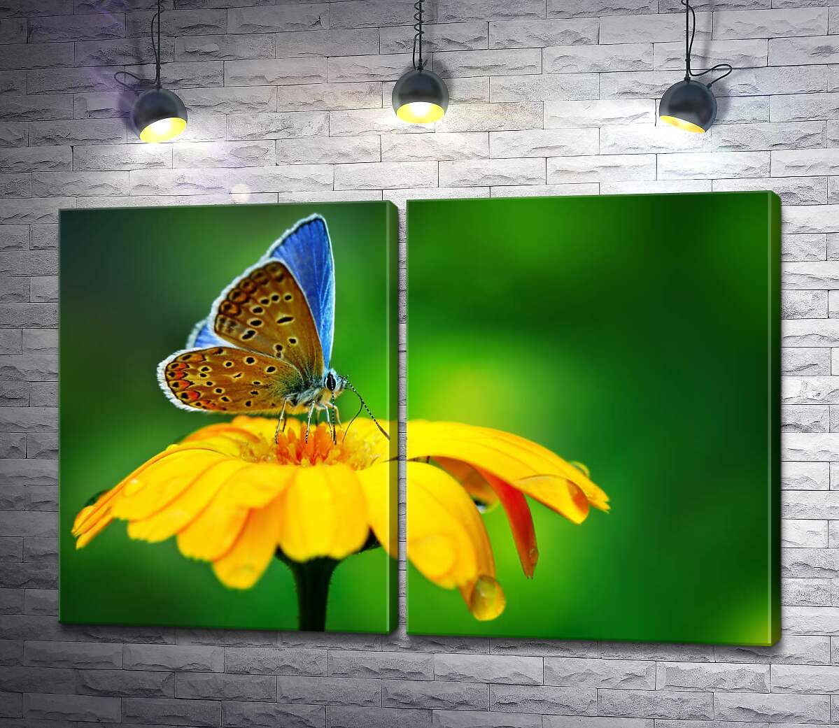 модульна картина Ніжний метелик на жовтій квітці