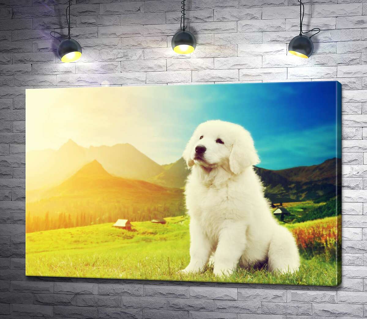 картина Пушистый щенок польской овчарки на фоне луга