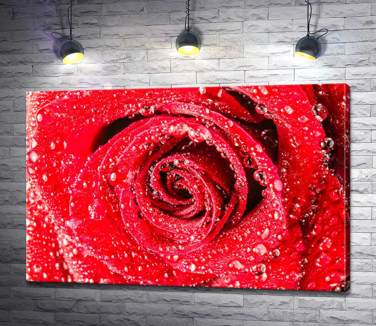картина Сочно-красный бутон розы с росой