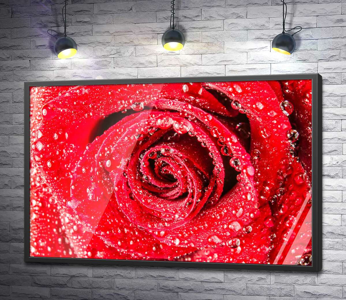 постер Соковито-червоний бутон троянди з росою