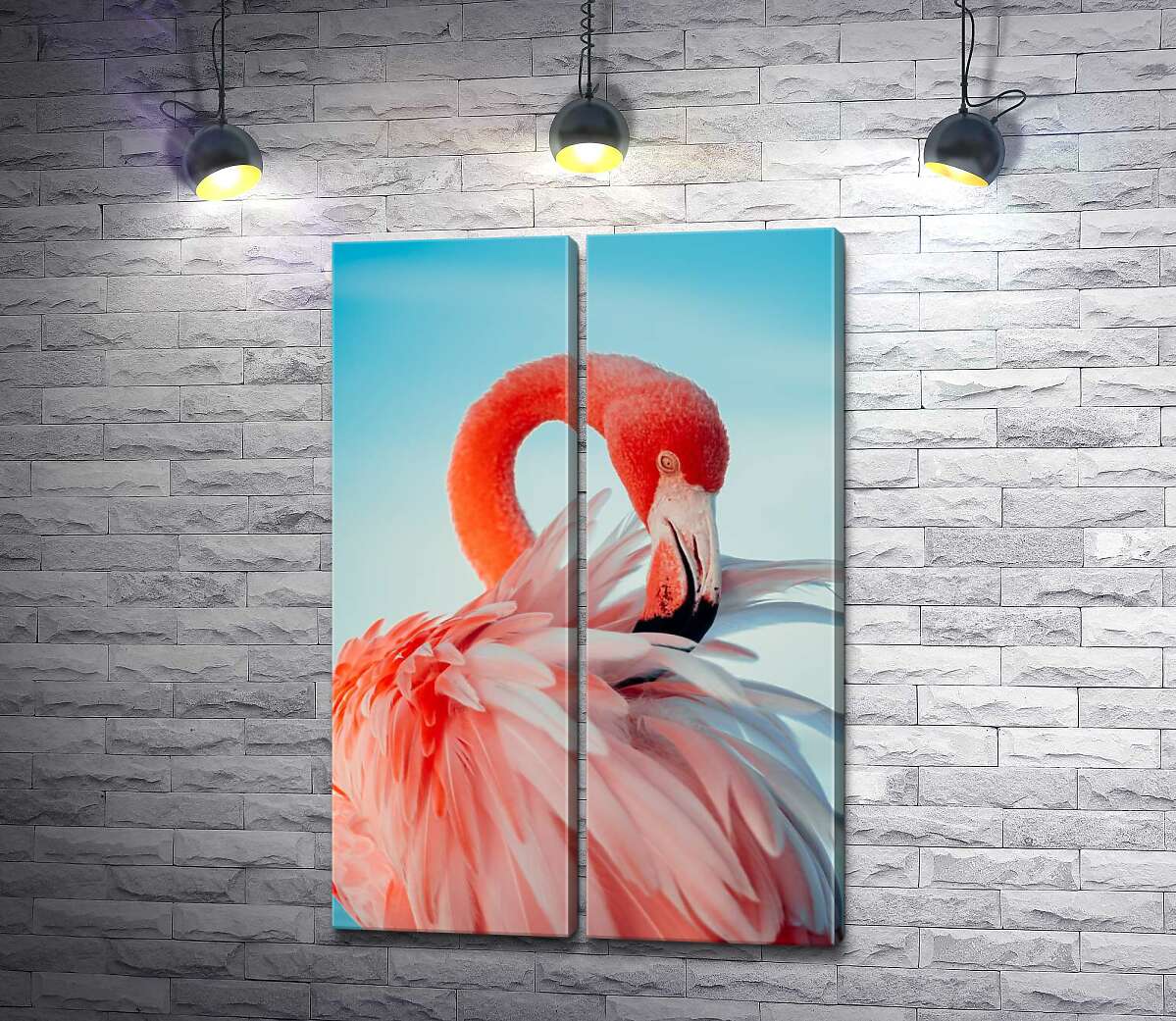 модульная картина Роскошный фламинго чистит перья