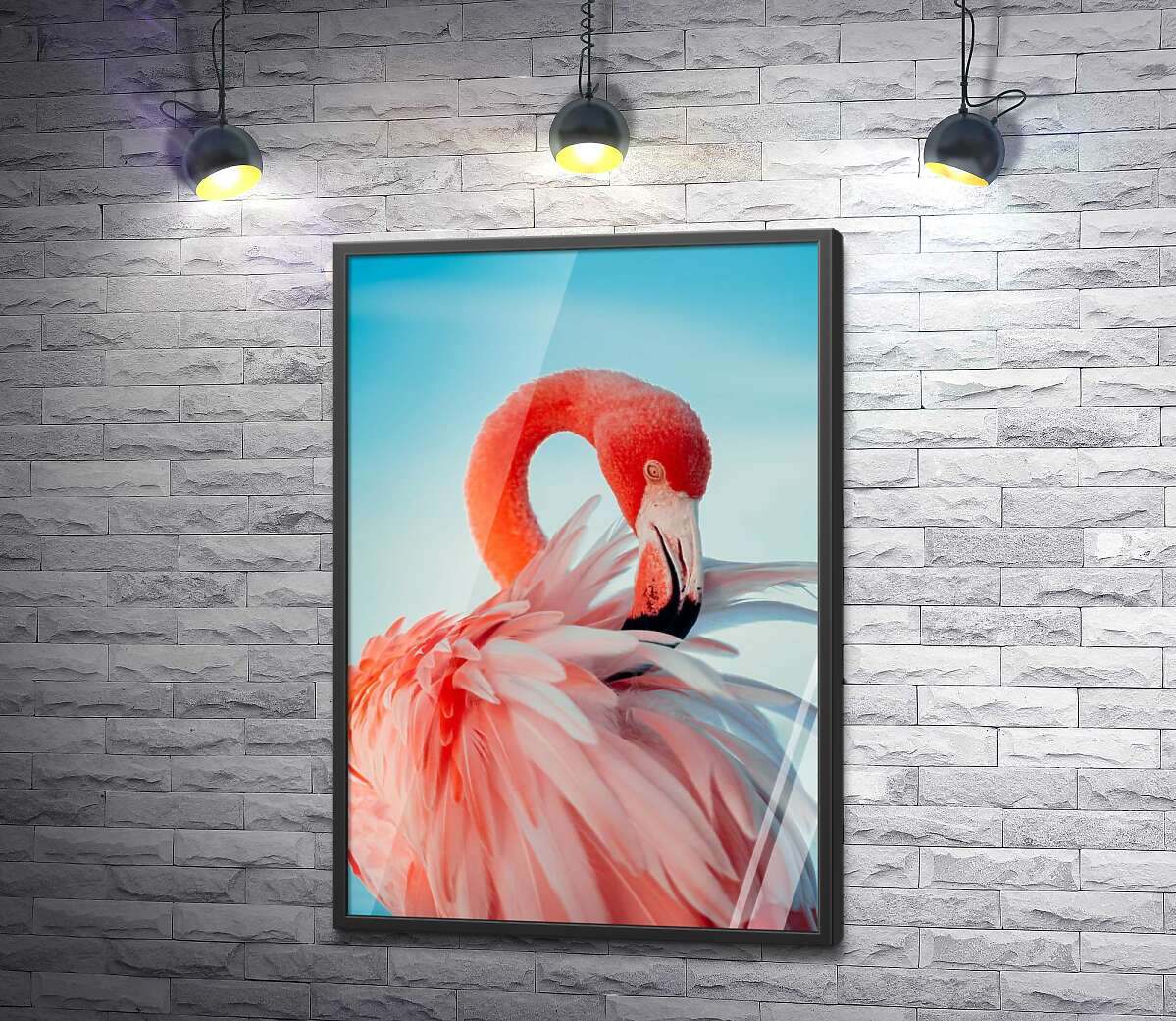 постер Роскошный фламинго чистит перья