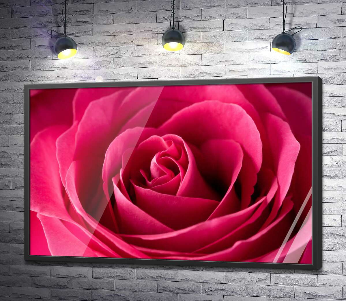 постер Розкішний бутон малинової троянди