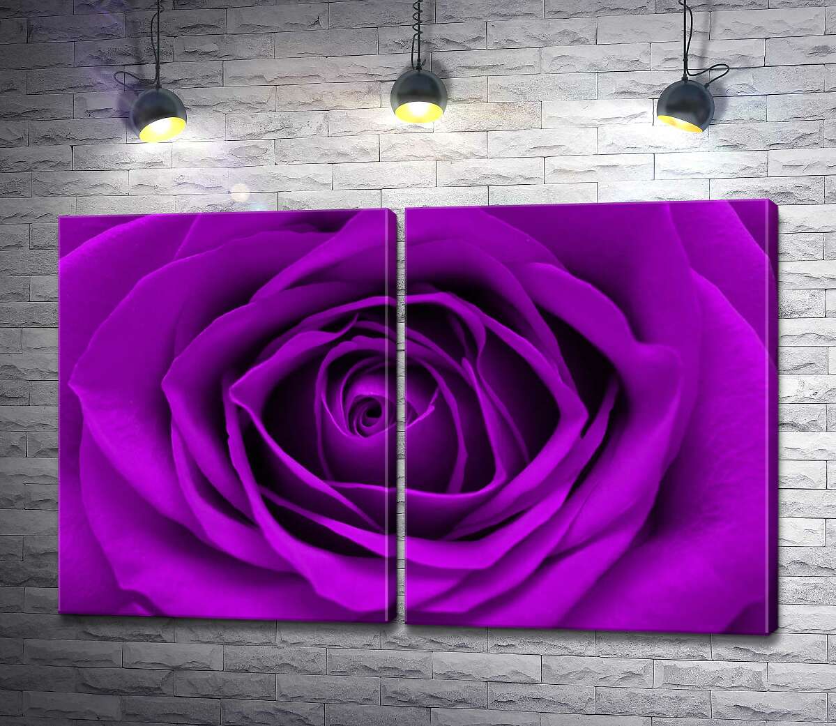 модульная картина Насыщенно пурпурный бутон розы
