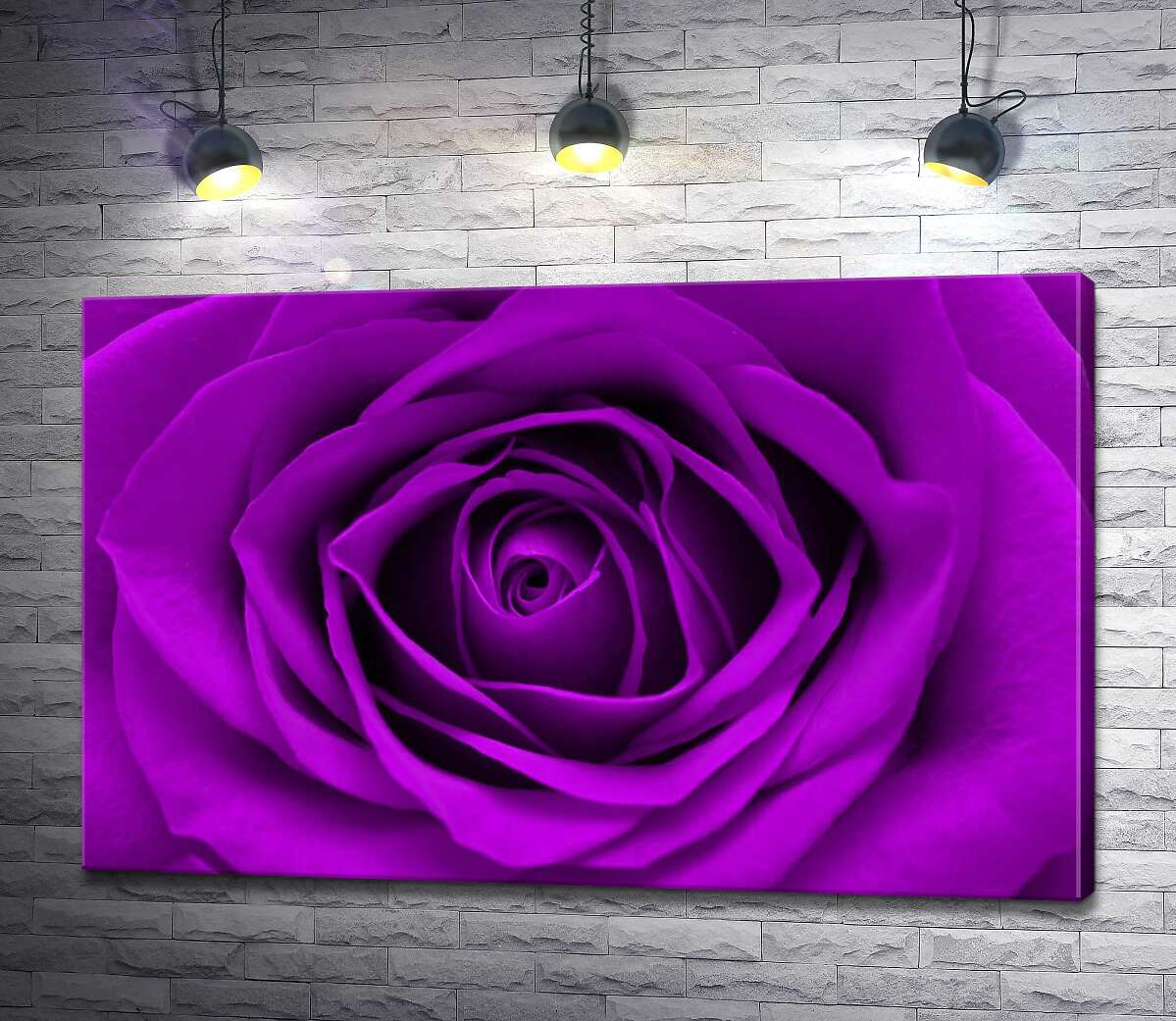картина Насичено пурпуровий бутон троянди