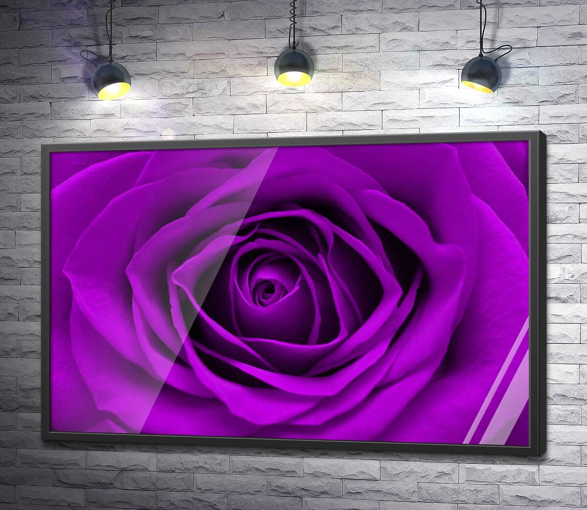 постер Насичено пурпуровий бутон троянди