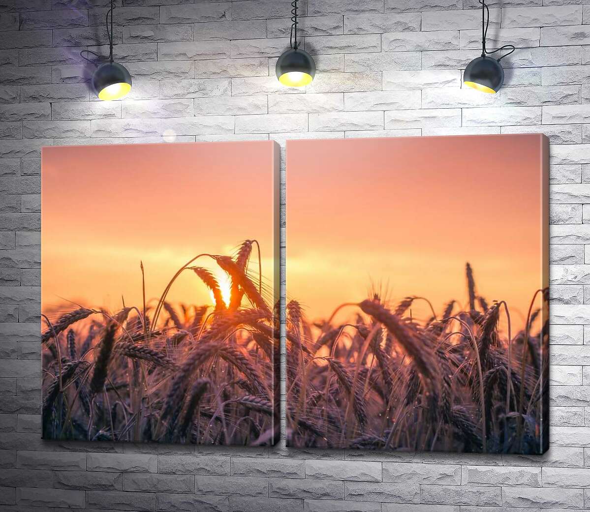 модульна картина Колоски пшениці на заході сонця