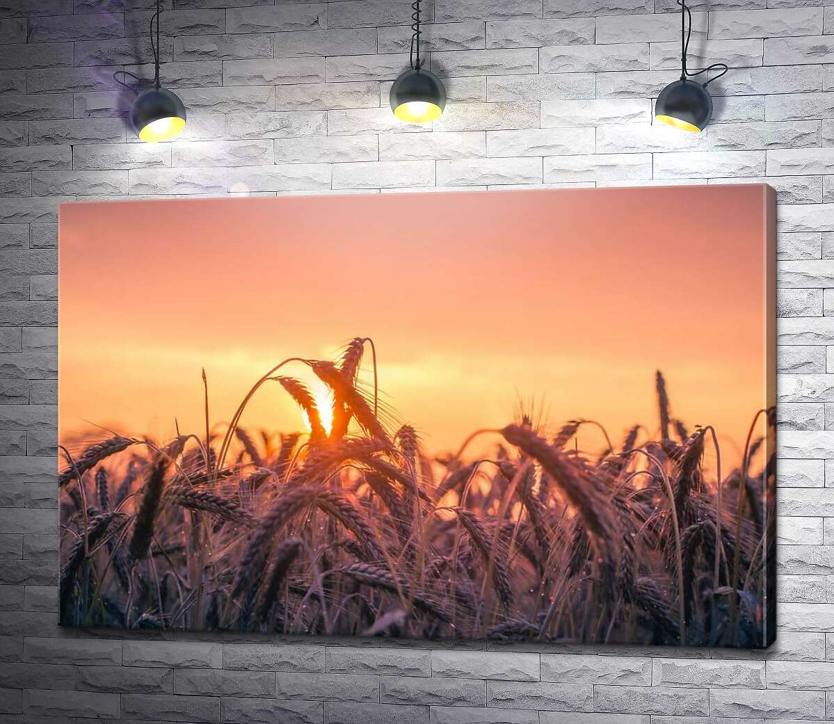 картина Колоски пшениці на заході сонця