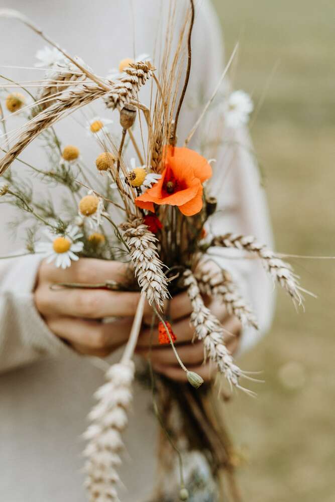 картина-постер Пучок полевых цветов в руках у девушки