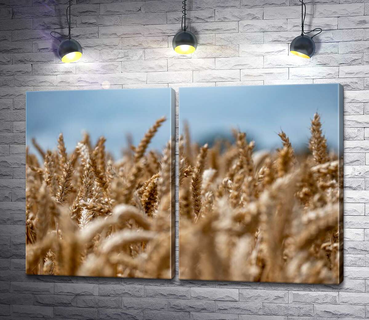 модульная картина Поле колосьев пшеницы