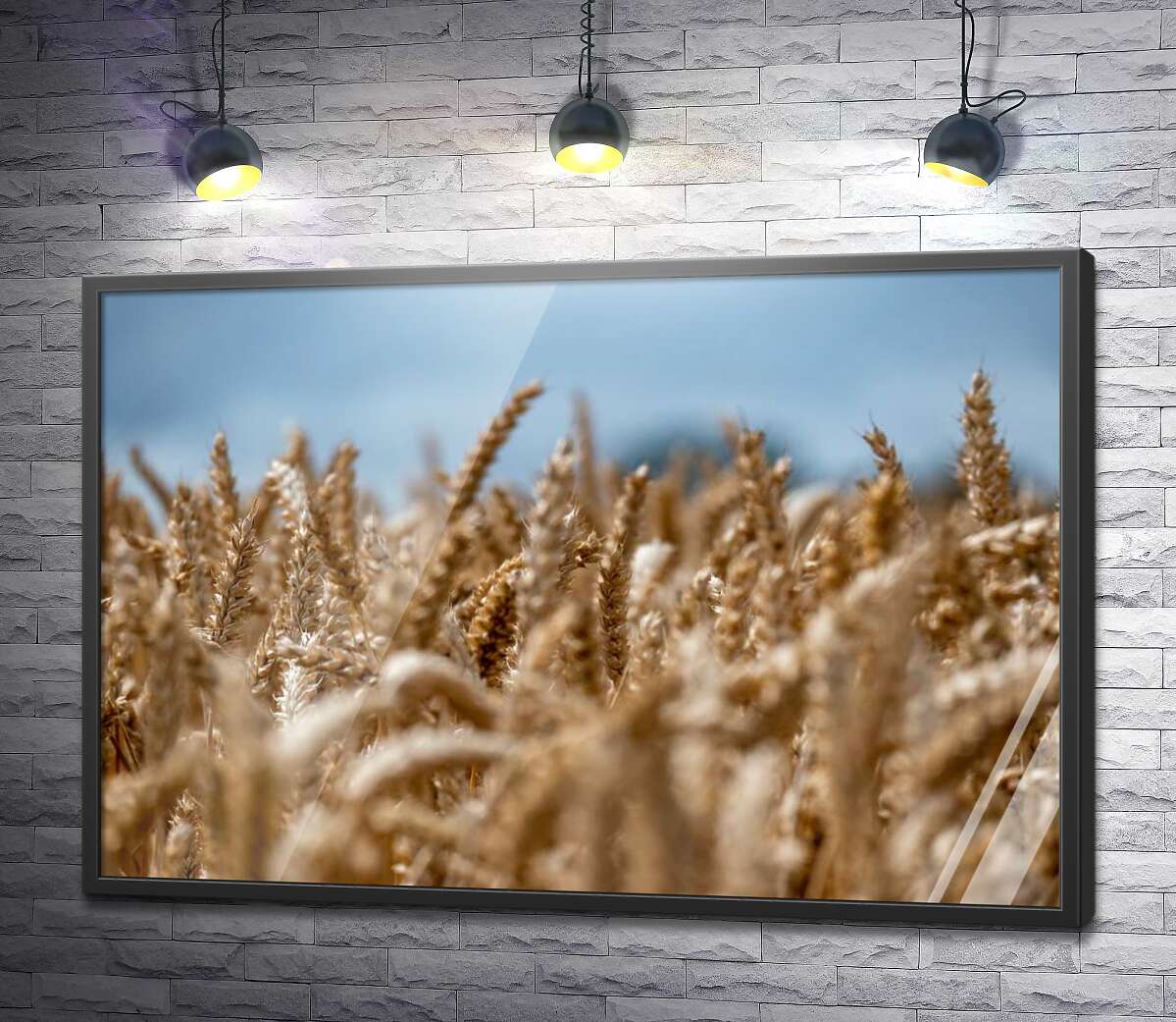 постер Поле колосьев пшеницы