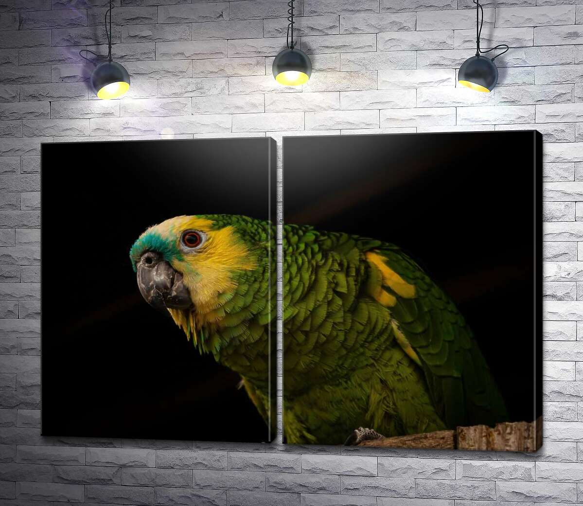 модульная картина Желто-зеленый попугай
