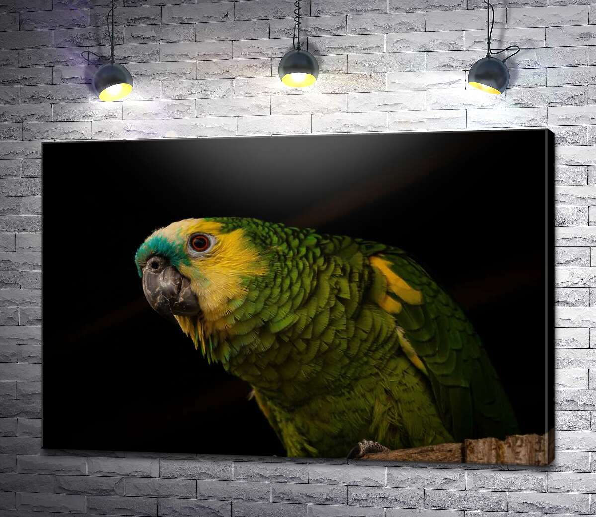 картина Желто-зеленый попугай