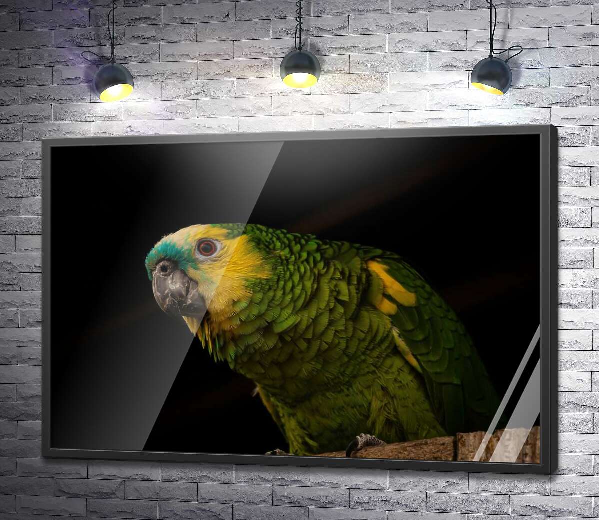 постер Жовто-зелений папуга