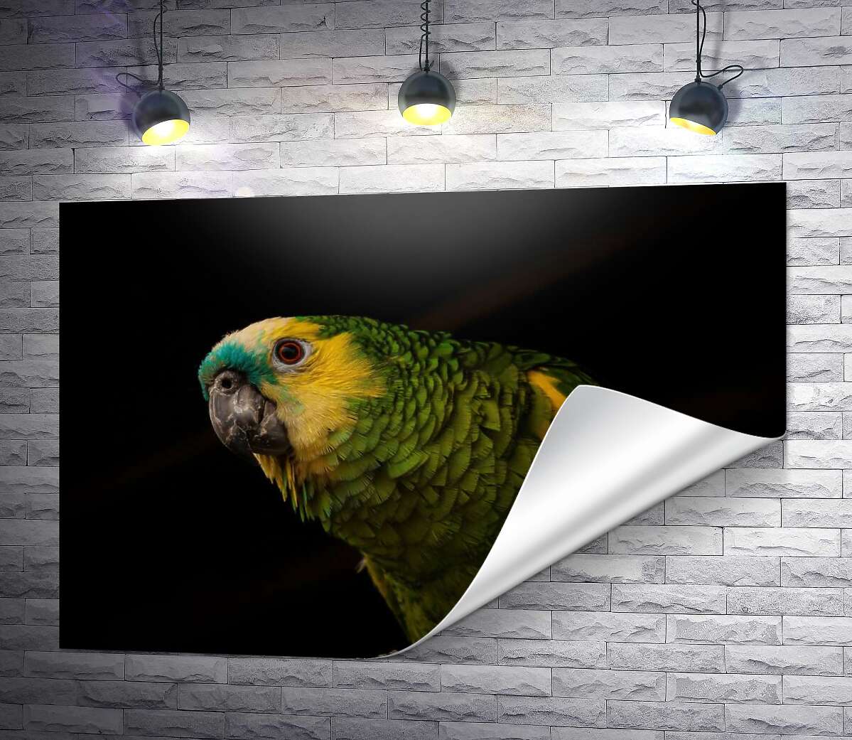 печать Желто-зеленый попугай