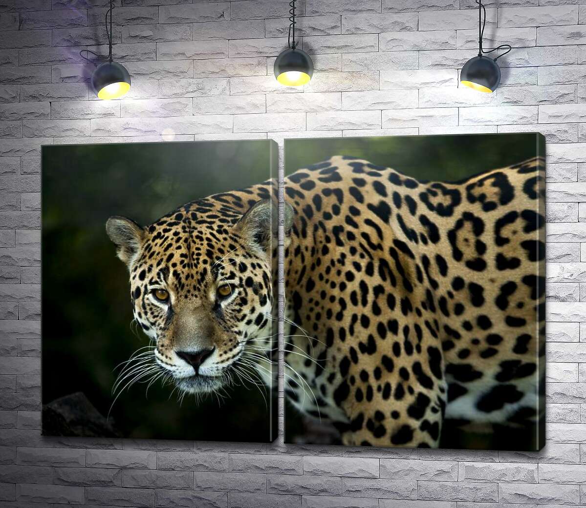 модульная картина Грациозная фигура леопарда