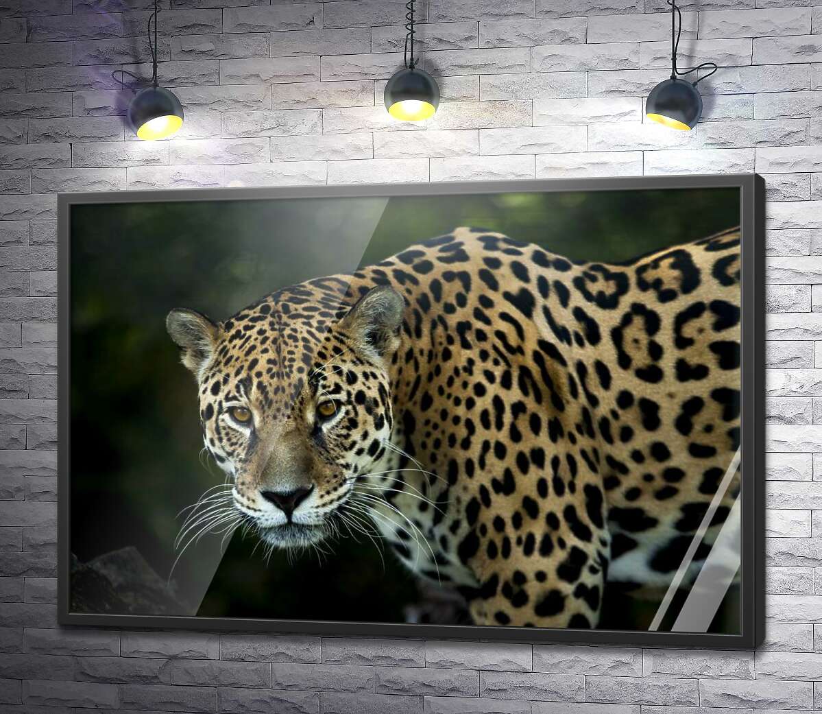 постер Грациозная фигура леопарда