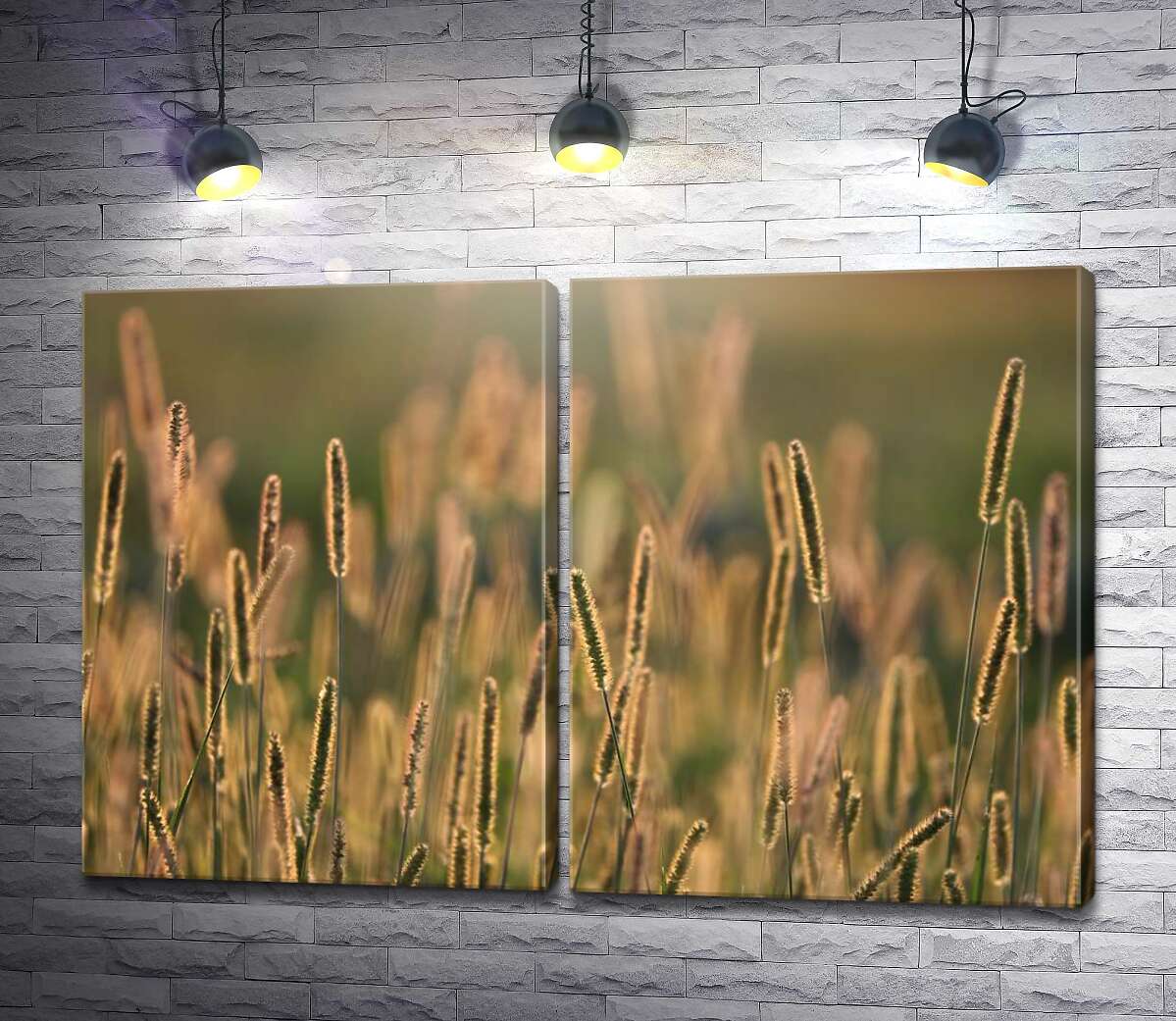 модульная картина Стебли травы в лучах солнца
