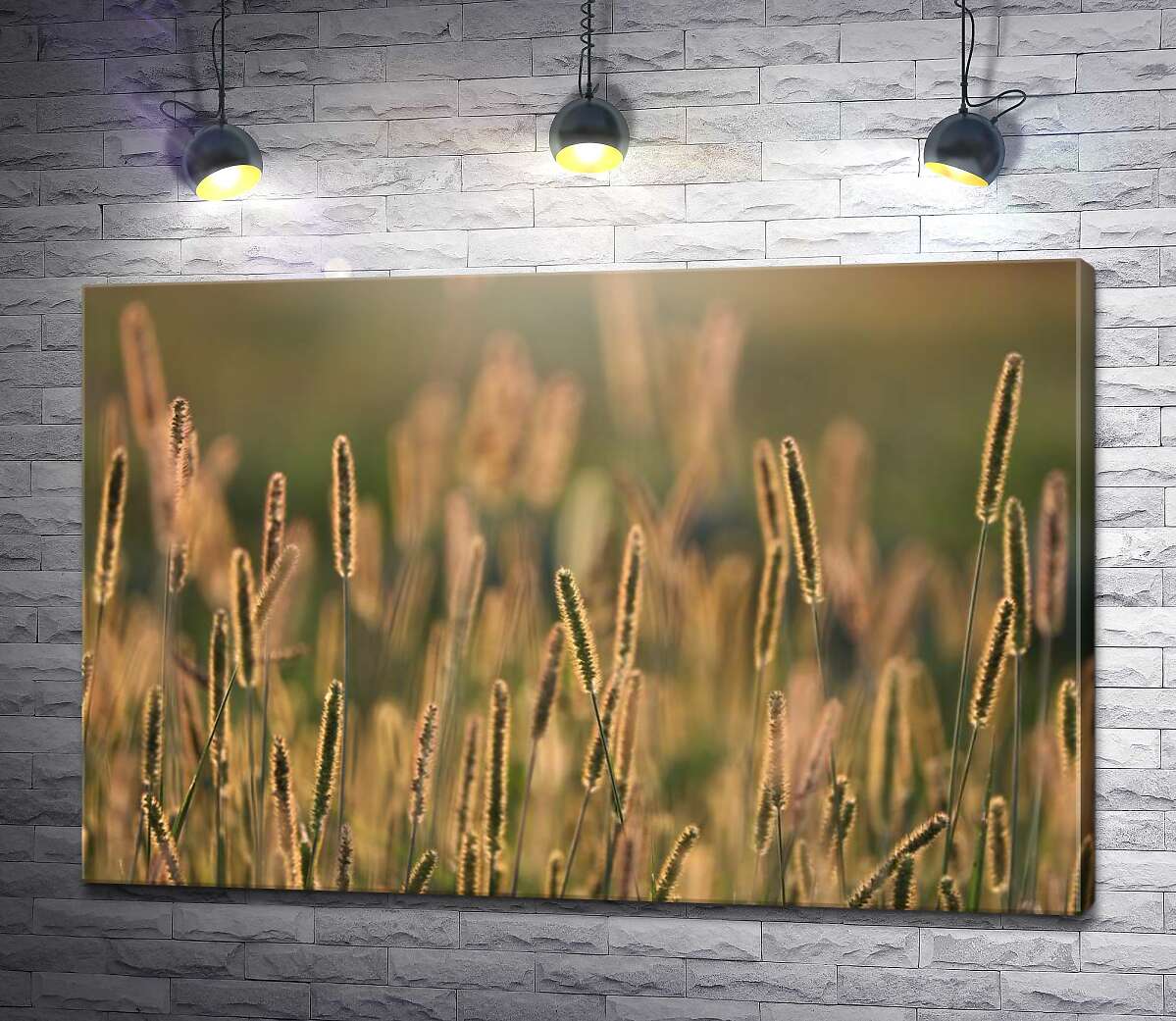 картина Стебли травы в лучах солнца