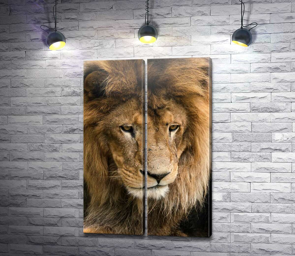 модульная картина Портрет спокойного льва