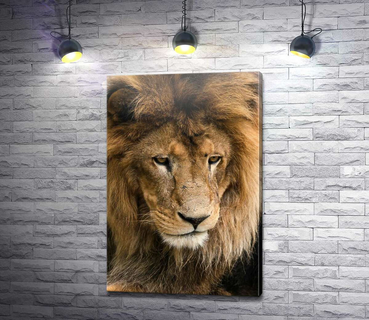 картина Портрет спокійного лева
