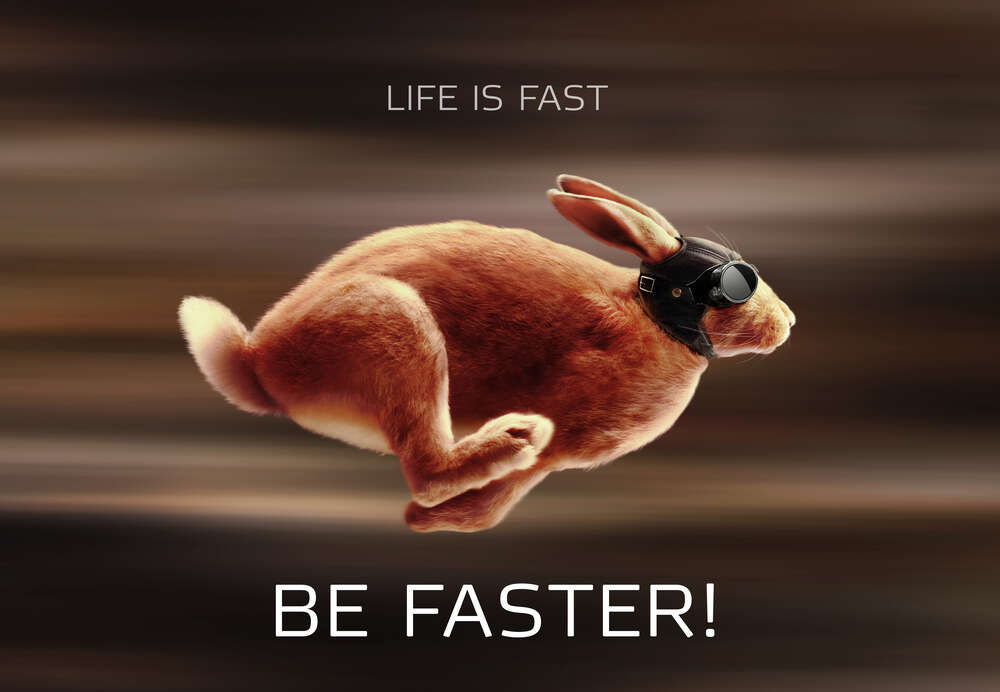 картина-постер Заєць-гонщик - Life is Fast