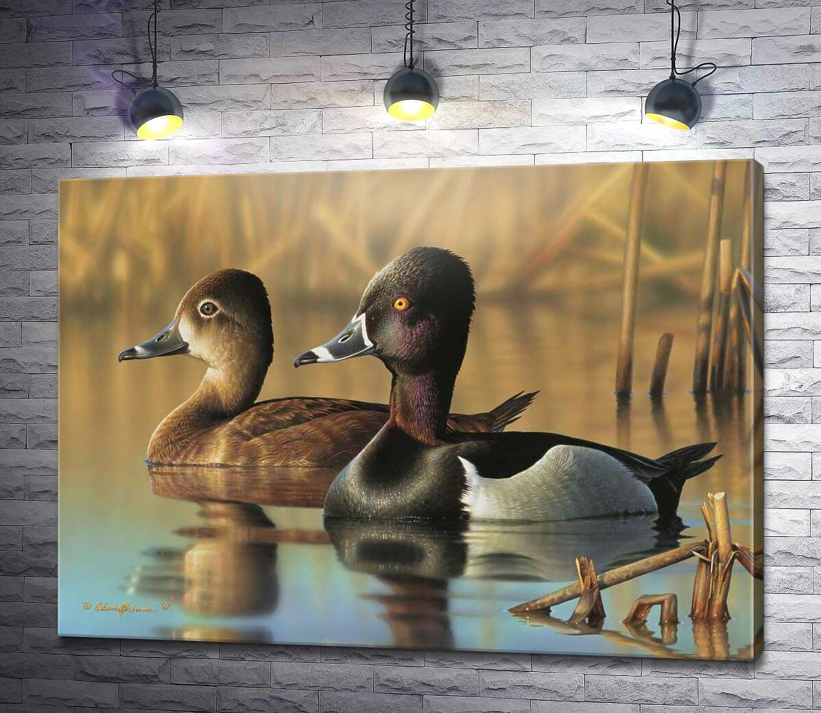 картина Дві качки завмерли на поверхні води
