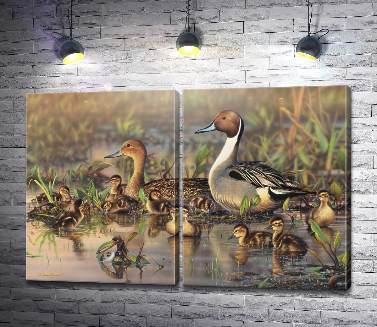 модульна картина Сімейство качок на болоті