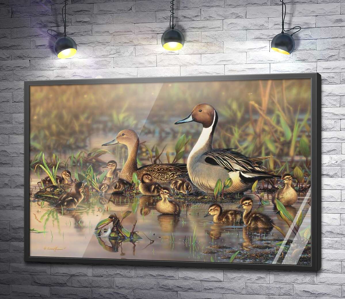 постер Сімейство качок на болоті