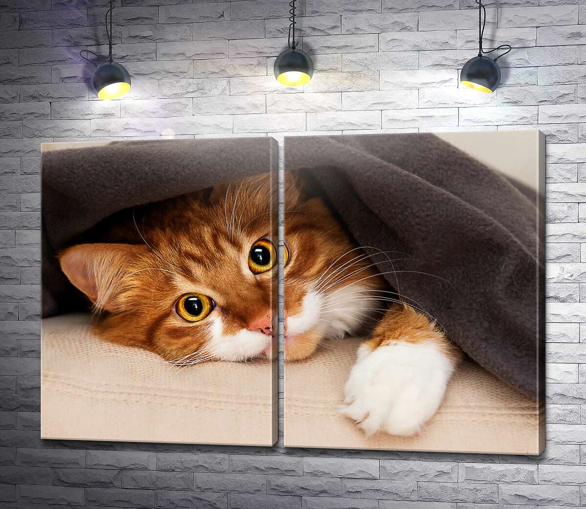 модульна картина Рудий кіт під теплою ковдрою